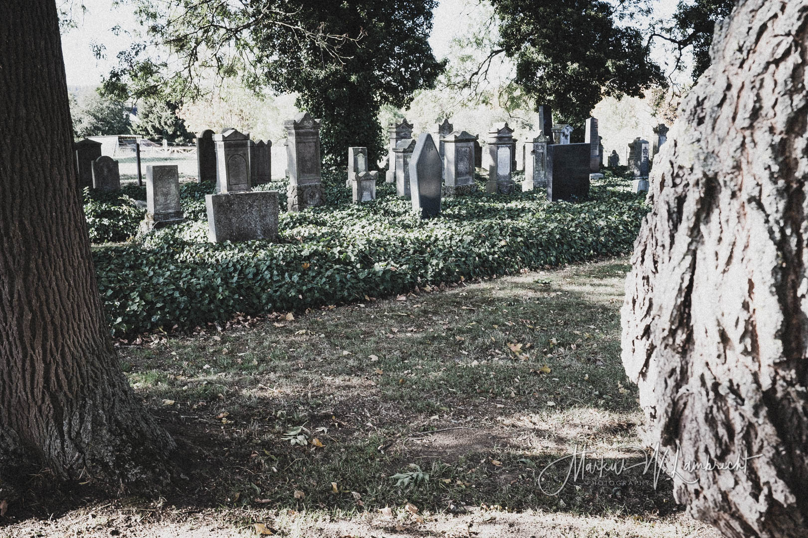 Peckelsheim, Jüdischer Friedhof
